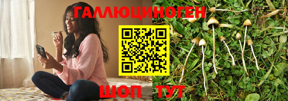 Псилоцибиновые грибы GOLDEN TEACHER Вятские Поляны