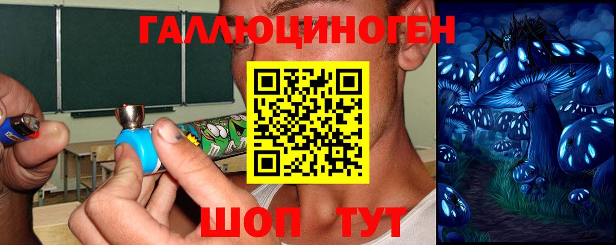 Вятские Поляны  Псилоцибиновые грибы Psilocybe  Вход с VPN 